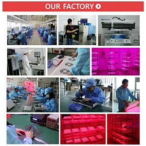 OEM ODM LED Panel Red Light Therapy Panel